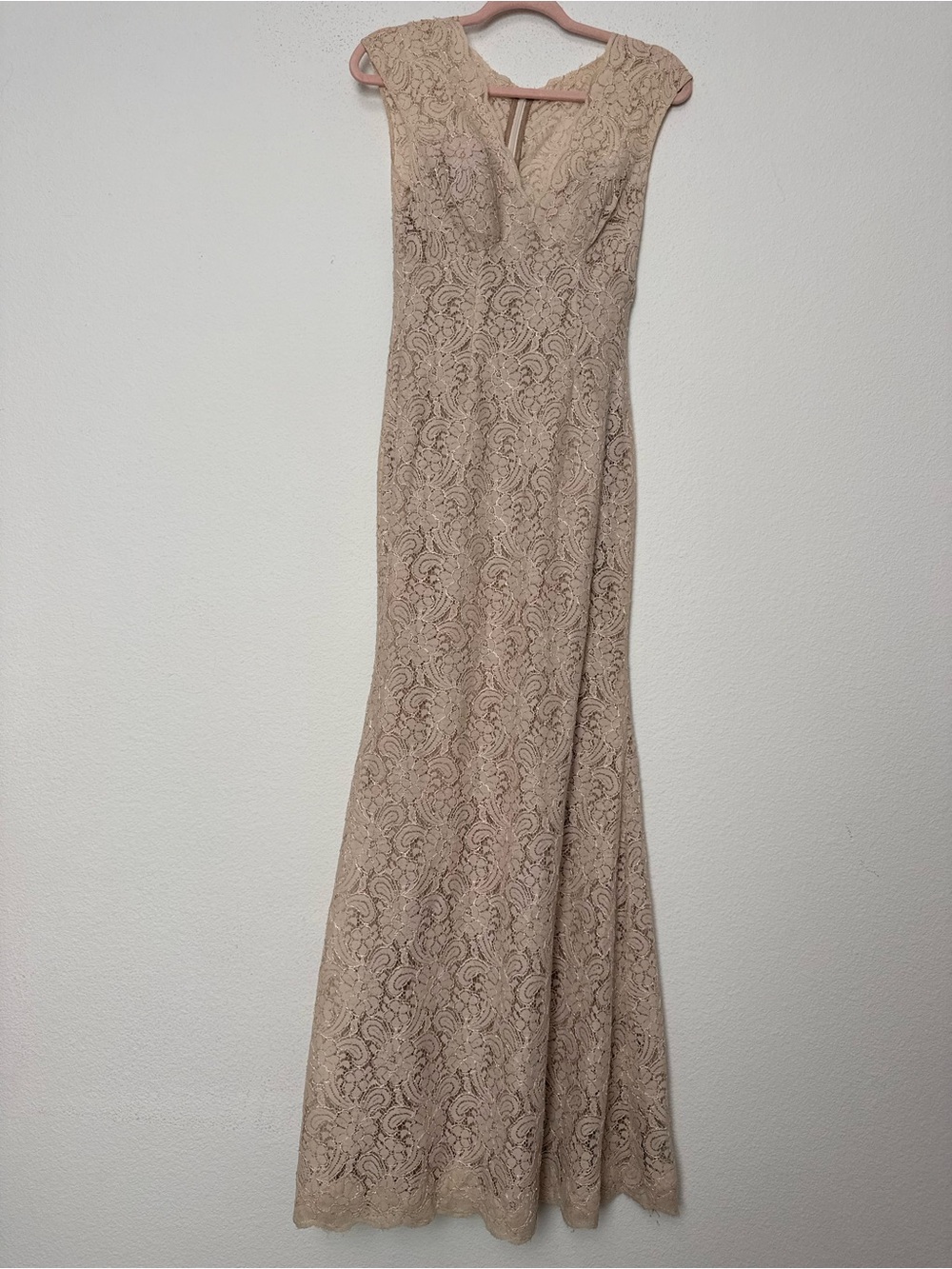 Watters & Watters Lace Gown Size 0 Beige Nude Maxi Wedding Bridesmaid Formal